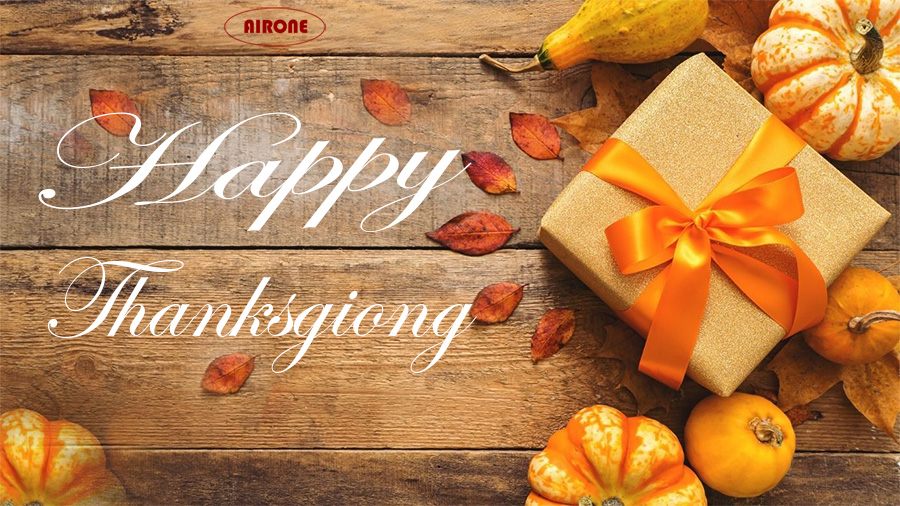 airone wish you happy thanksgiving.jpg